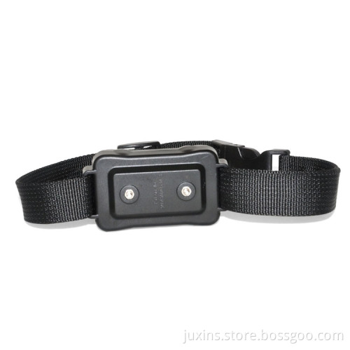 Petrainer PET900-3 1000M Electric Shock Dog Training Collar For 3 Dogs